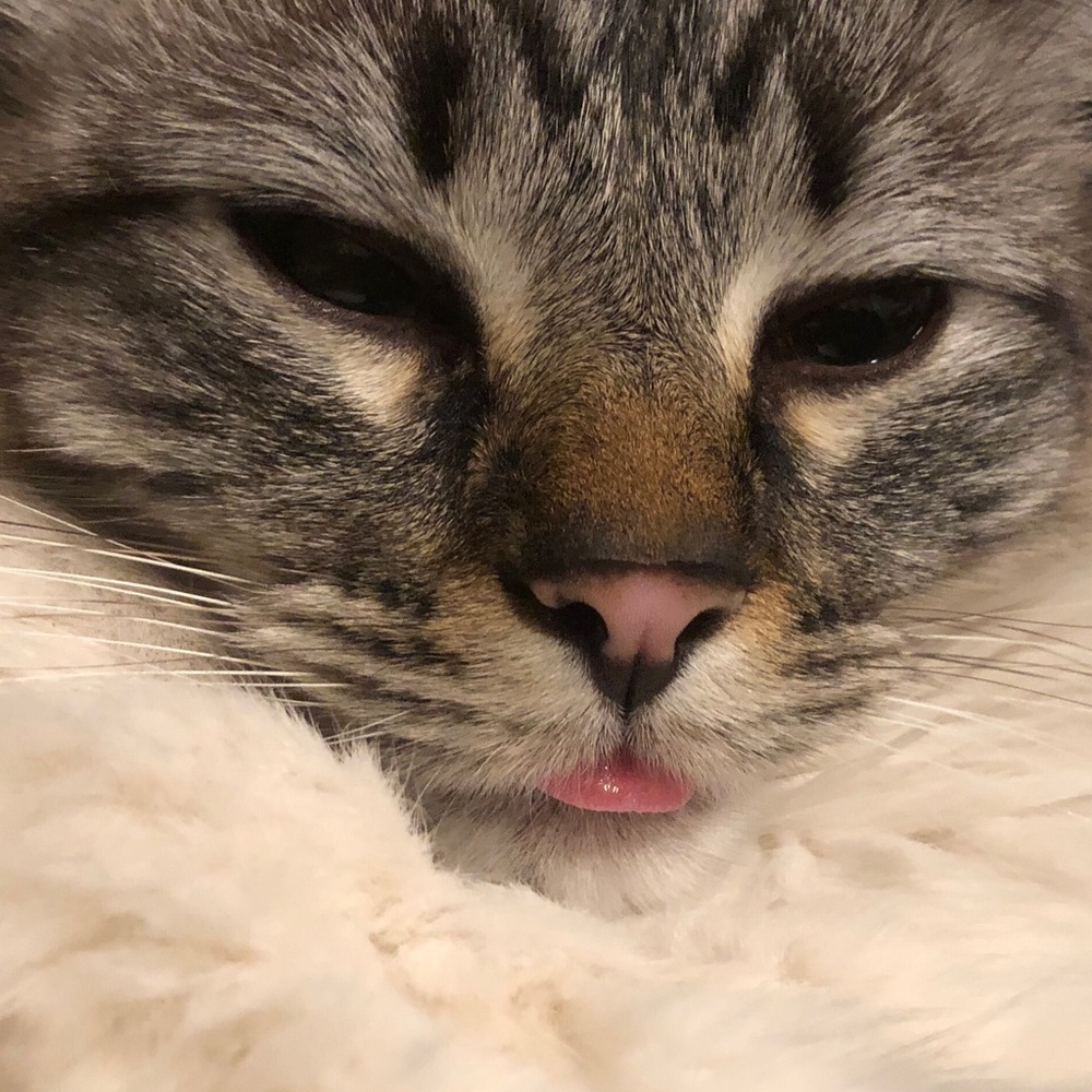 Meet your Posher, John